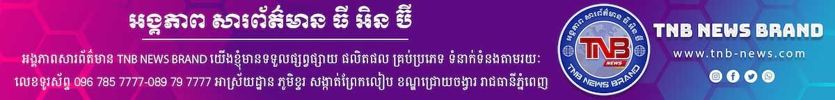 TNB